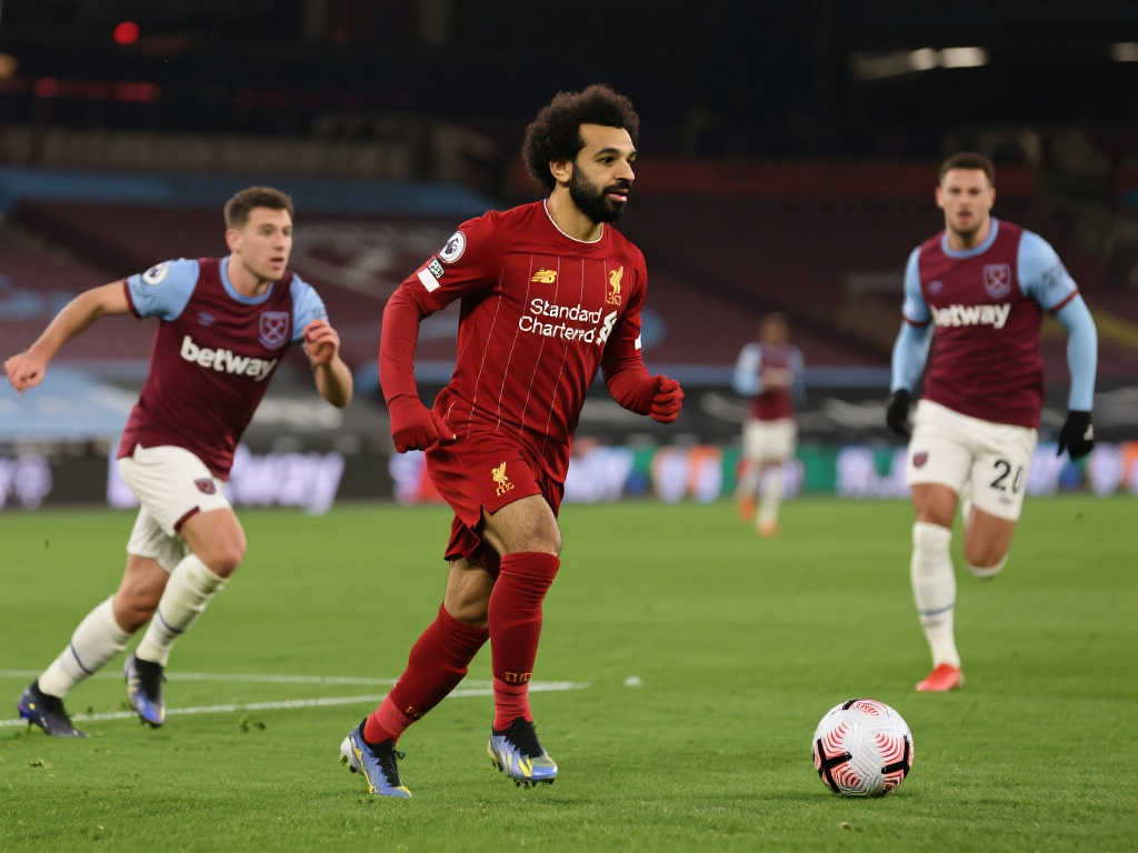 新的希望 新的希望